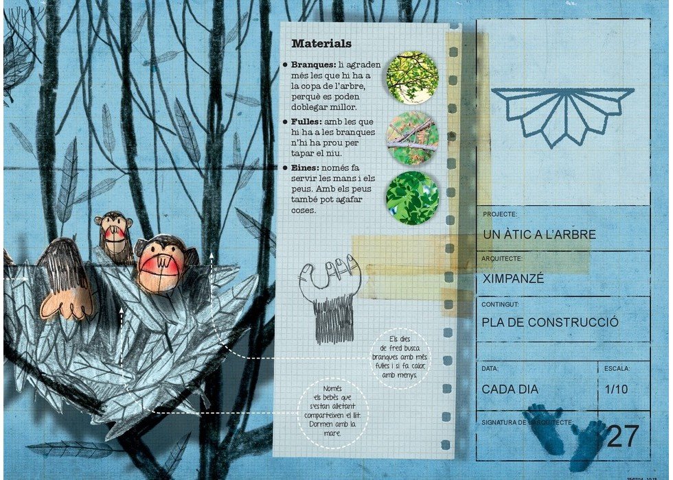 castor constructor i altres animals arquitectes