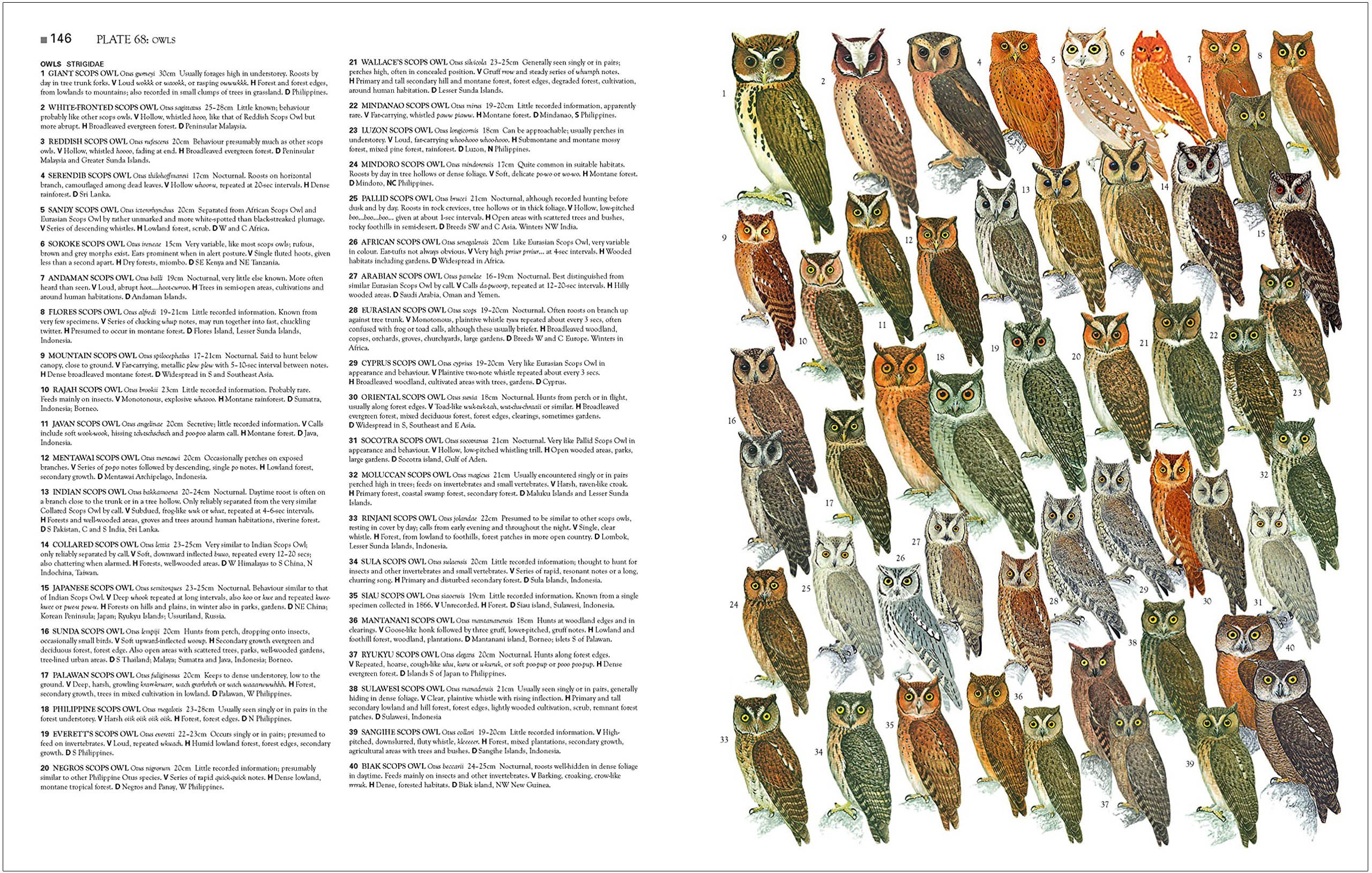 collins birds of the world. all 10.711 species illustrated