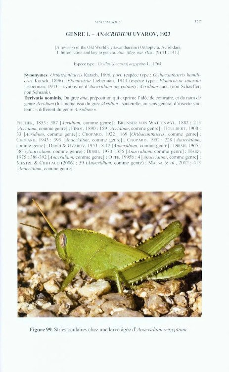 criquets de france (orthoptera, caelifera) vol. 1 fascicule a et b
