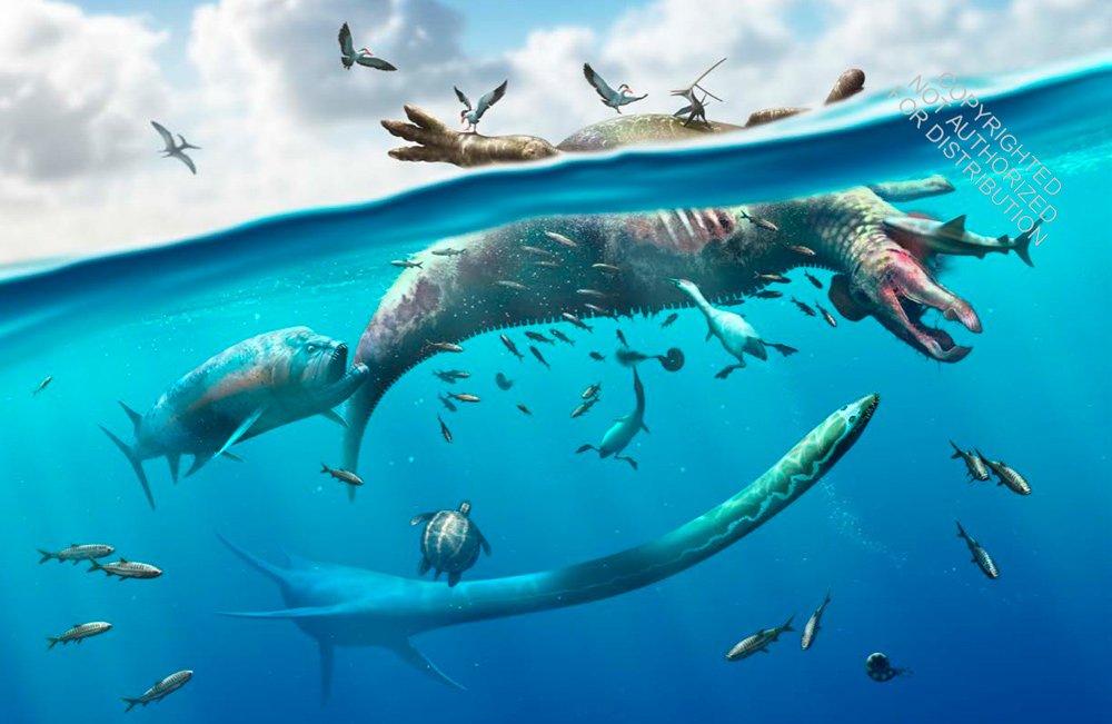 dinosaur behavior: an illustrated guide