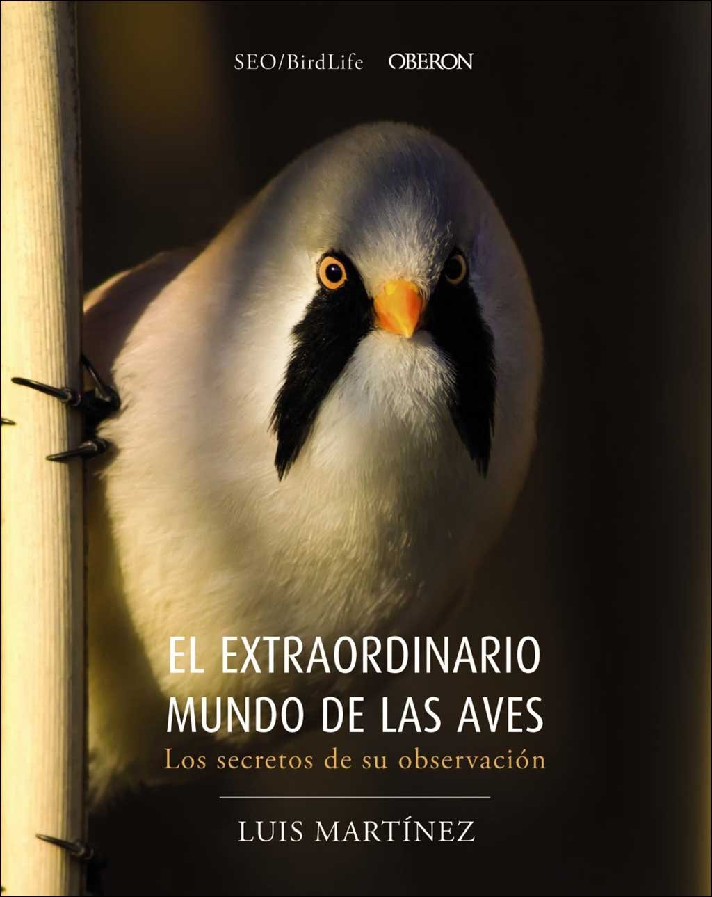 el extraordinario mundo de las aves