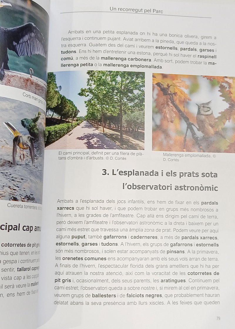 els ocells del parc catalunya de sabadell. setze anys d'ornitologia urbana