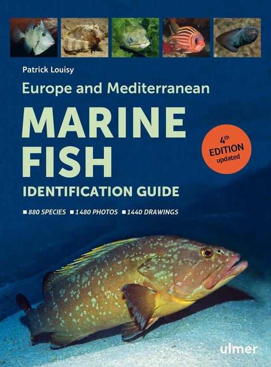 europe and mediterranean marine fish identification guide