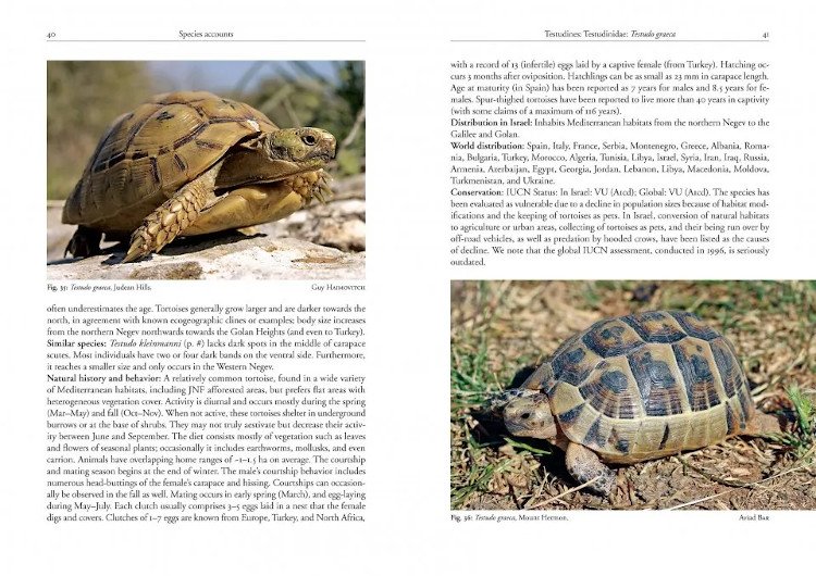 field guide to the amphibians and reptiles of israel