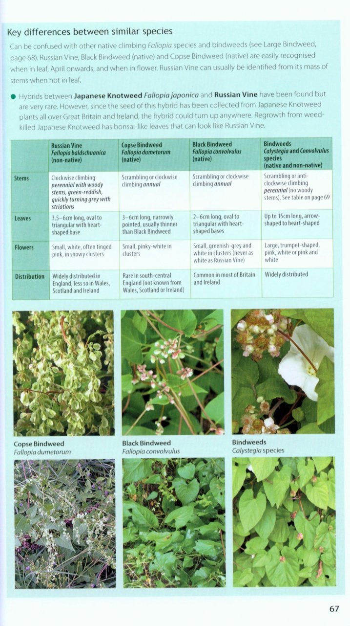 field guide to the invasive plants and animals in britain