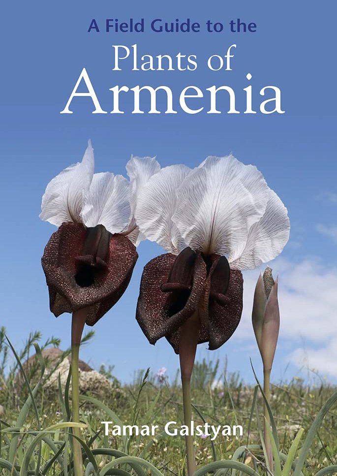 field guide to the plants of armenia