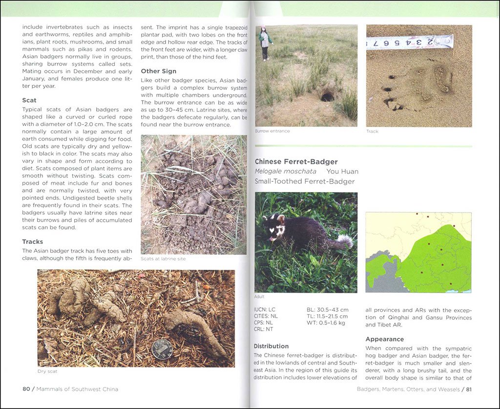 field guide to the wildlife of southwest china