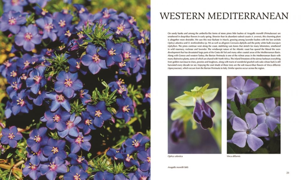 flora of the mediterranean. with california, chile, australia & south africa. an illustrated guide