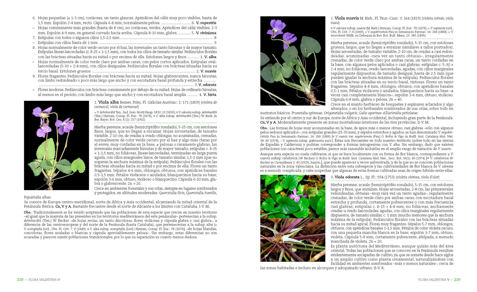 flora valentina v (rosaceae-zygophyllaceae)