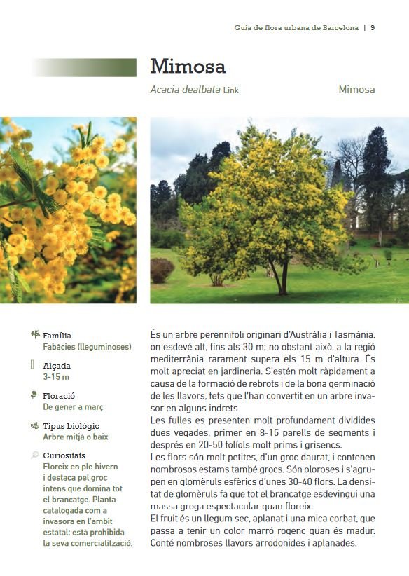guia de flora urbana de barcelona