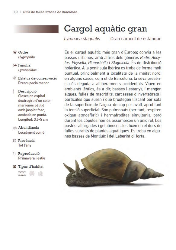 guia de la fauna urbana de barcelona