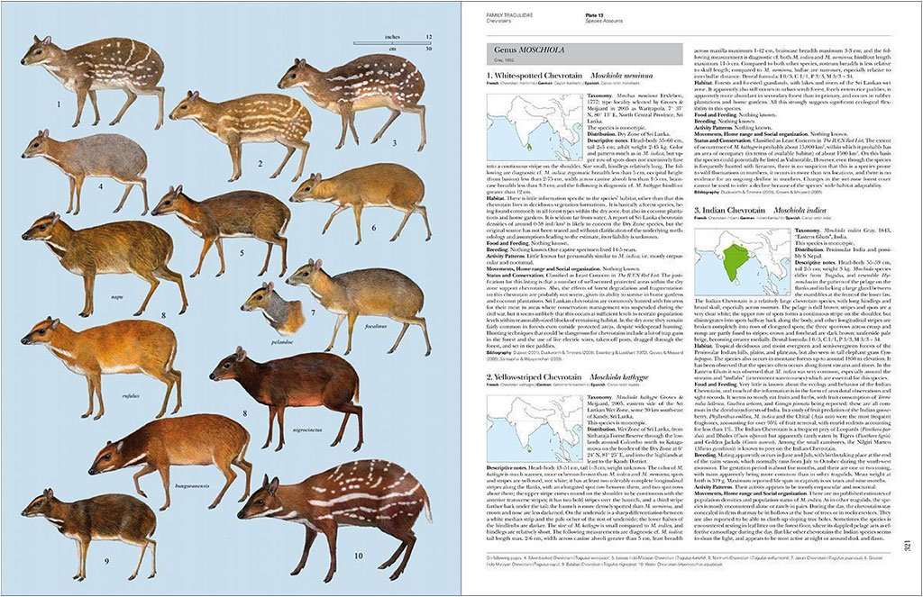 handbook of the mammals of the world. vol. 2 hoofed mammals