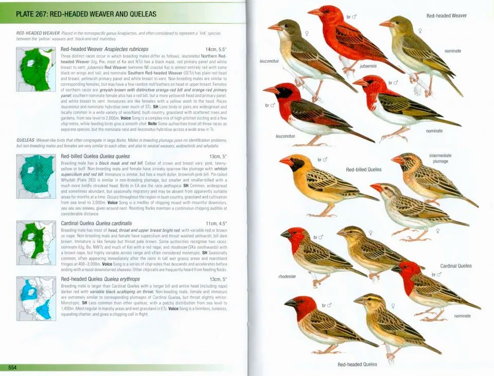 helm field guides. birds of east africa. kenya, tanzania, uganda, rwanda, burundi