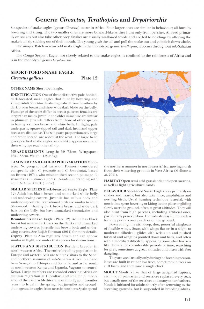 helm identification guides. african raptors