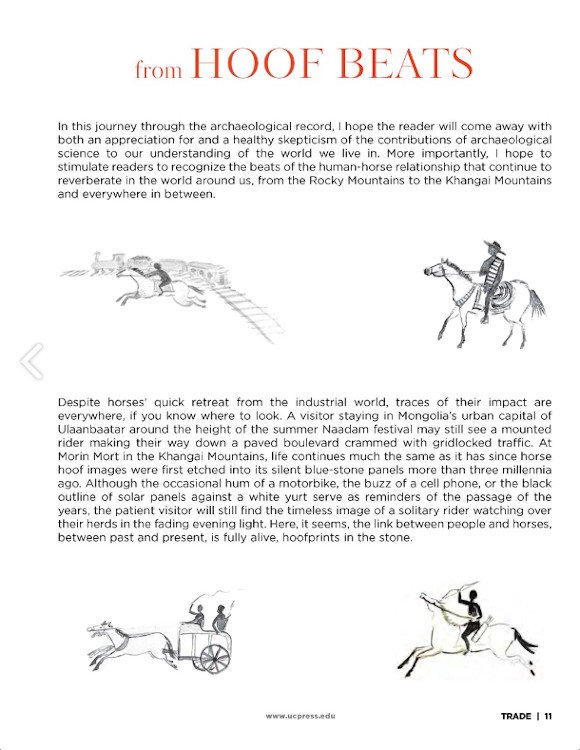 hoof beats: how horses shaped human history