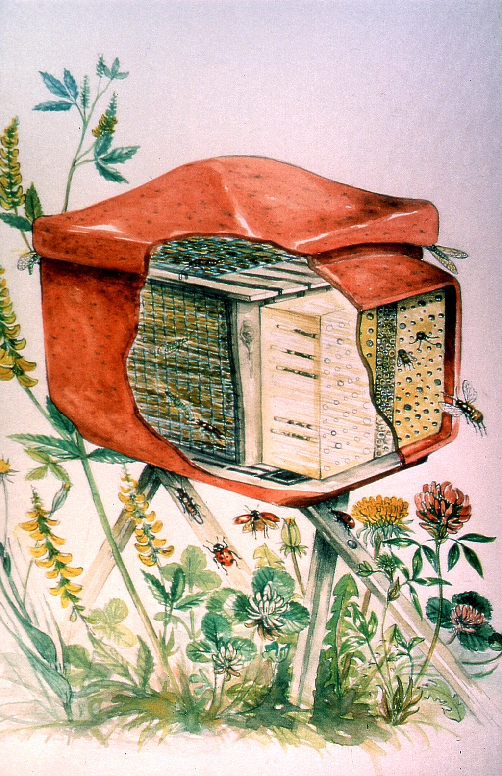 hotel "insect combi" con soporte para distintas especies de insectos