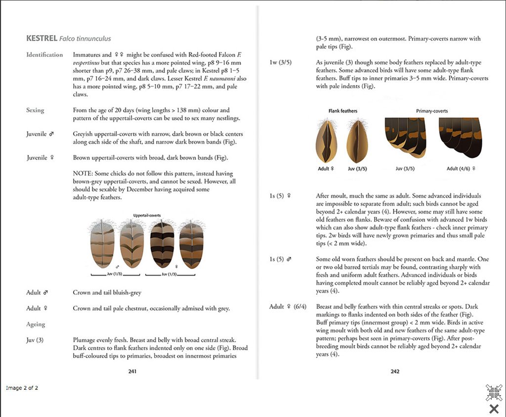 identification of european non-passerines