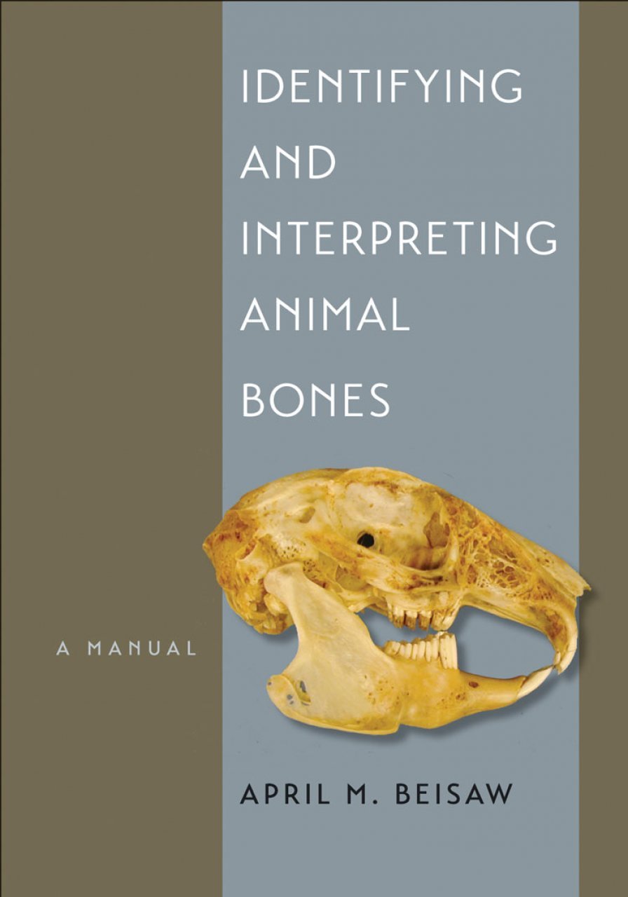 identifying & interpreting animal bones. a manual