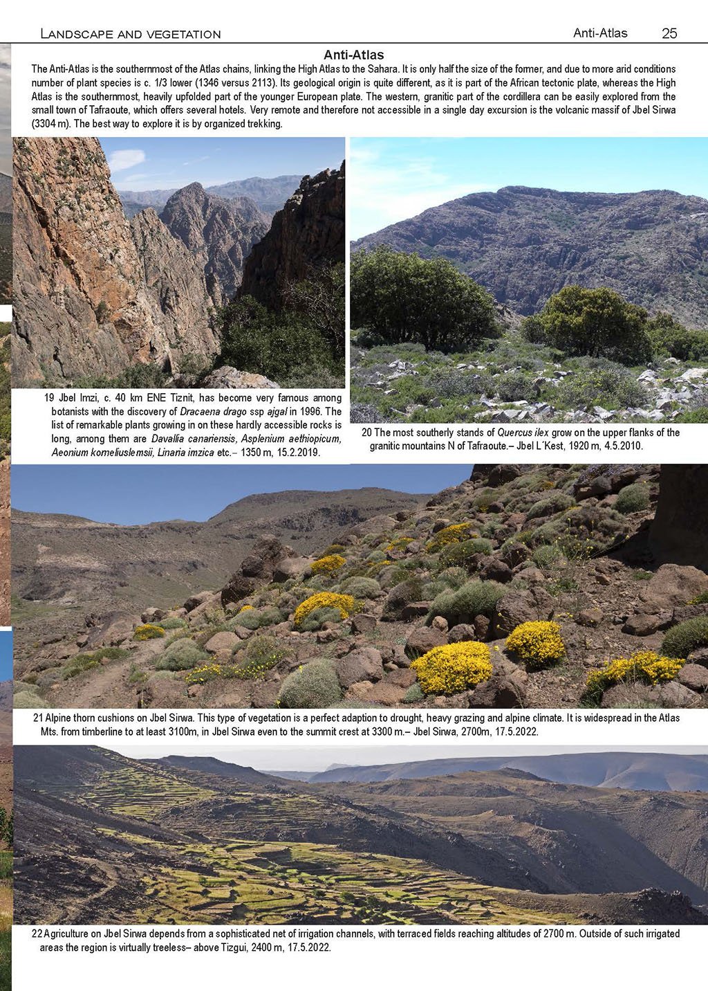 illustrated flora of morocco