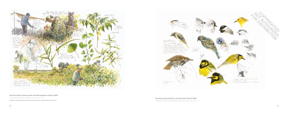 in the footsteps of audubon