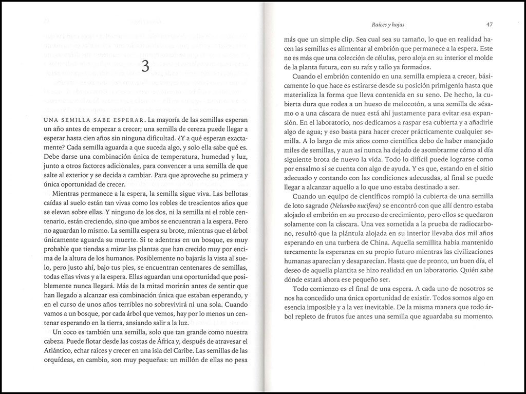 la memoria secreta de las hojas