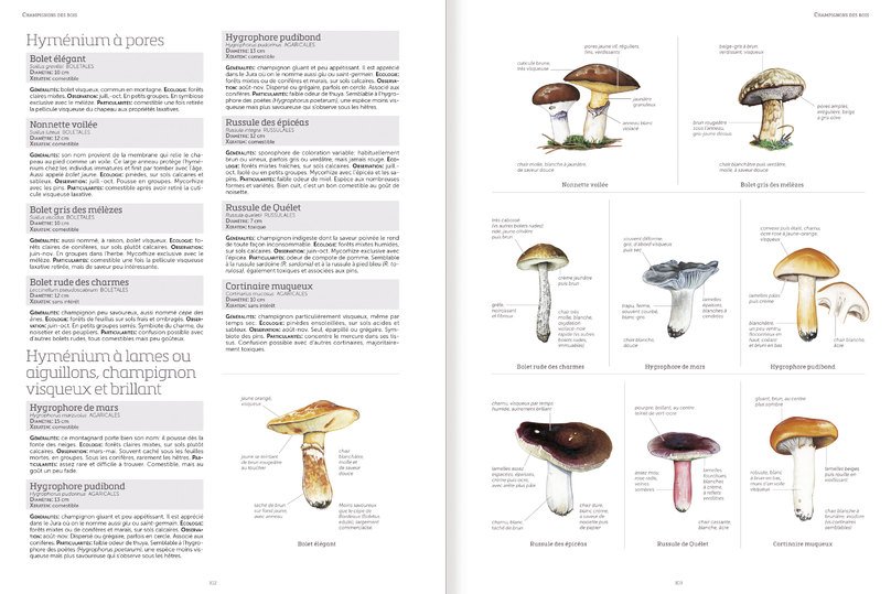 le grand livre de la nature
