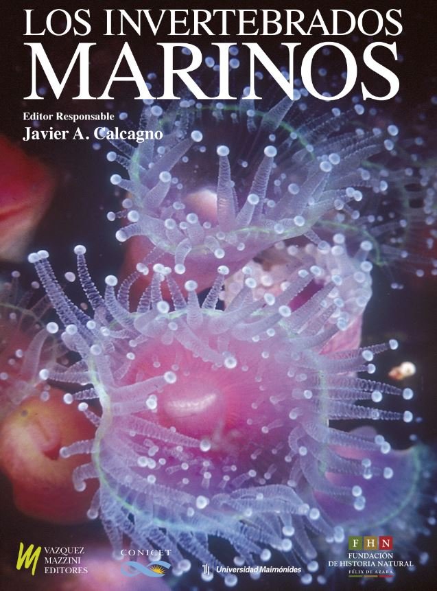 los invertebrados marinos