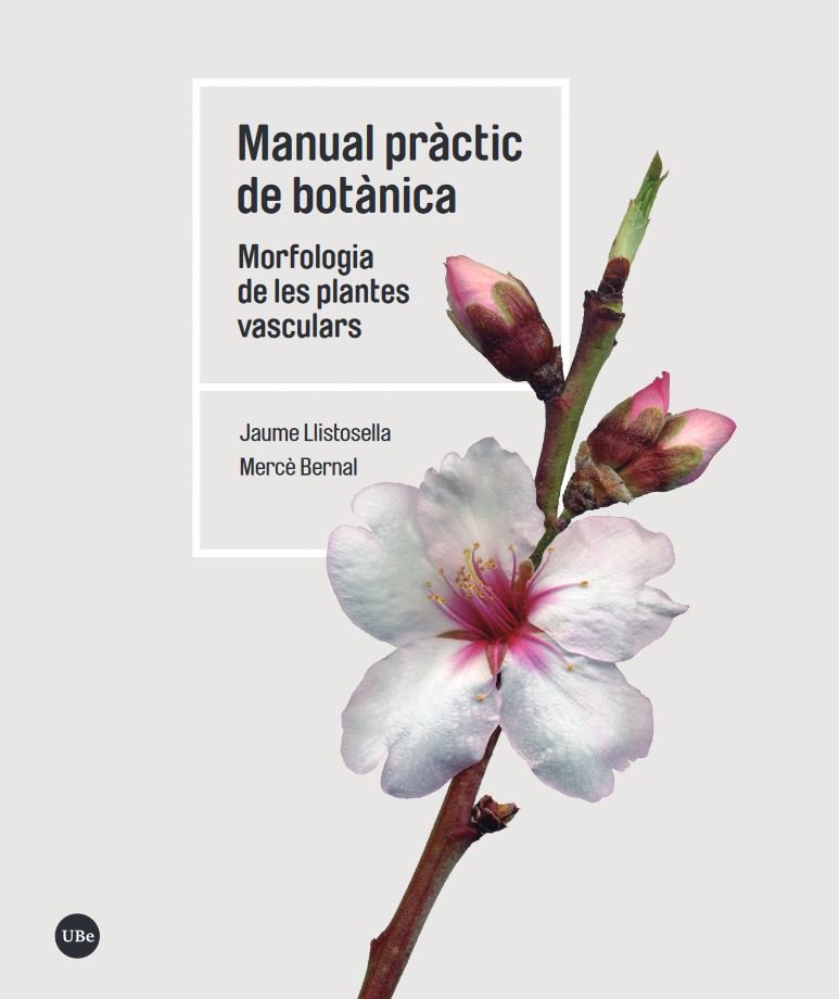 manual practic de botanica. morfologia de les plantes vasculars