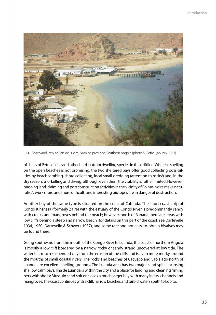 marine bivalves of tropical west africa