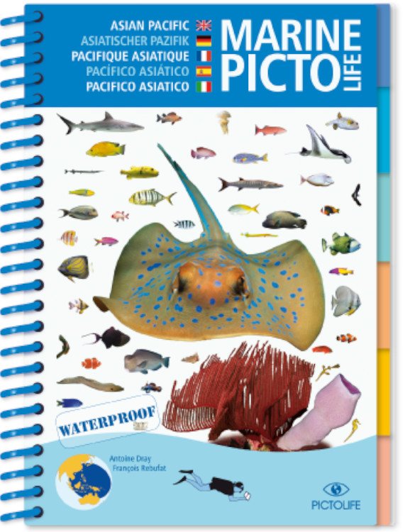 marine pictolife. asian pacific