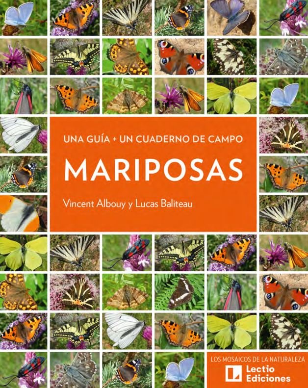 mariposas. una guia + un cuaderno de campo