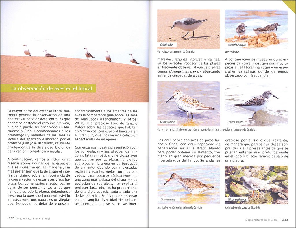 marruecos. el litoral para viajeros inquietos