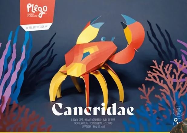 plegopaper- figura recortable cancridae (cangrejo - cranc)