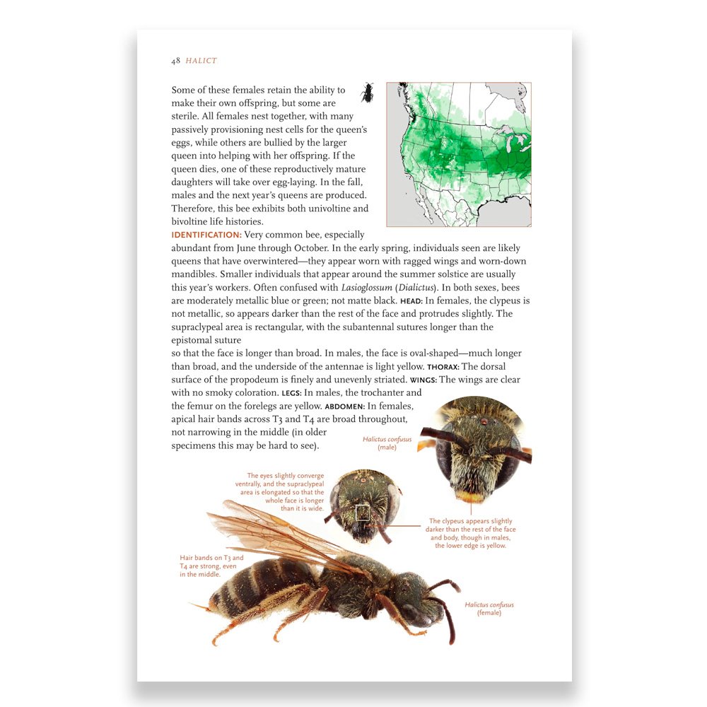 princeton field guides common bees of western north america