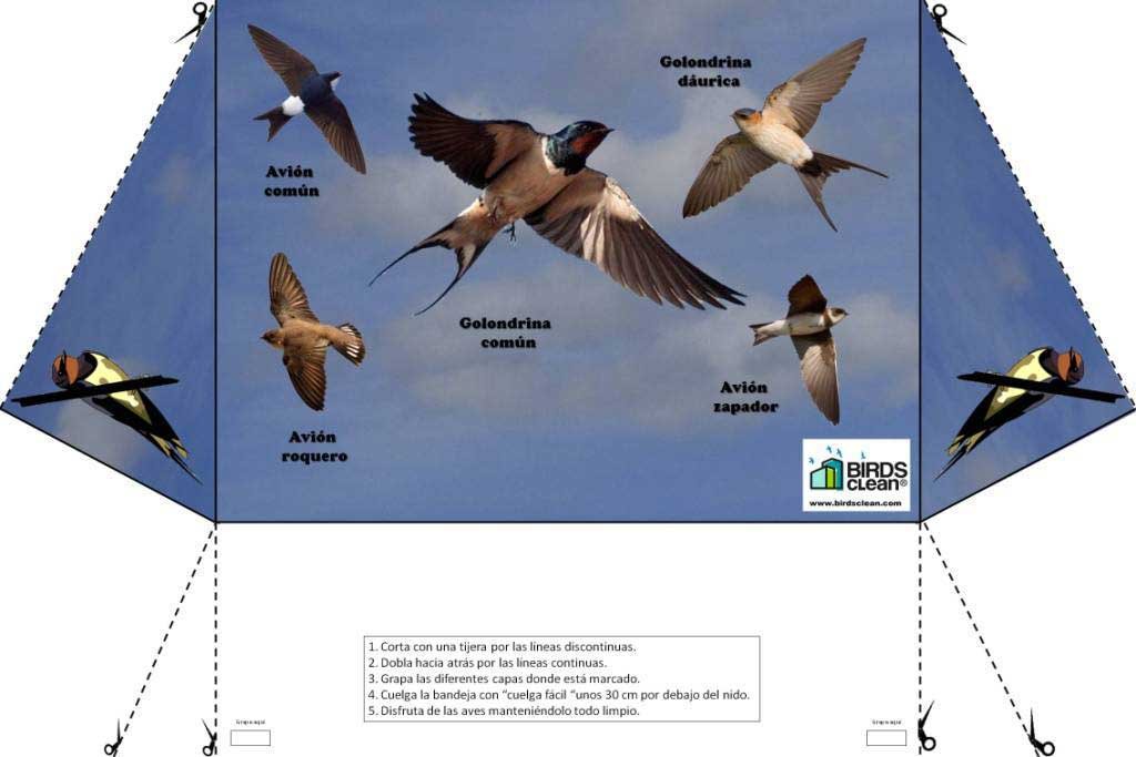 recogedor de excrementos de golondrinas modelo volando