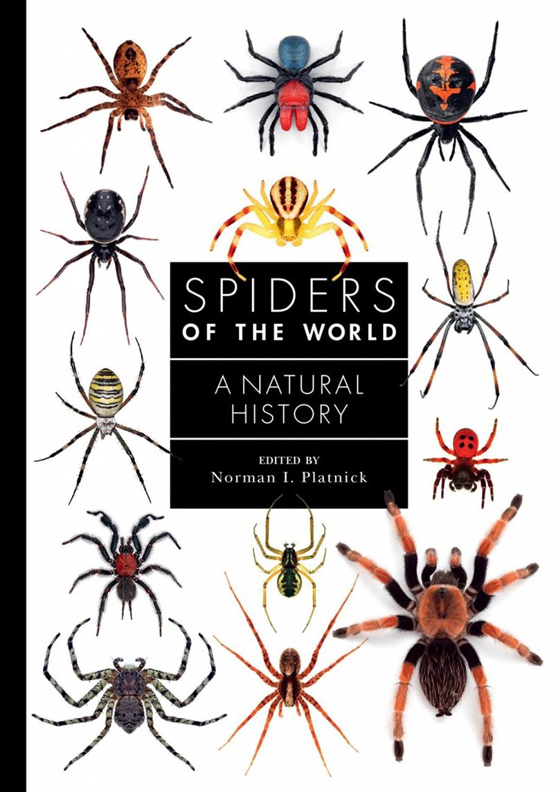 spiders of the world. a natural history