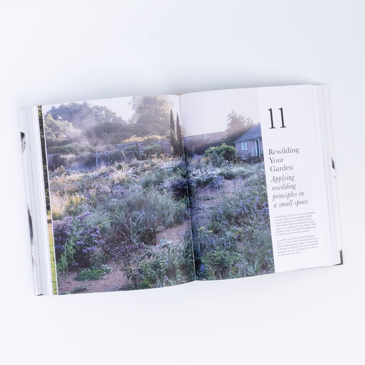 the book of wilding. a practical guide to rewilding, big and small