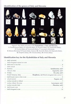 the freshwater gastropods of the west-palaearctis. volume 2: moitessieriidae, bythinellidae, stenothyridae
