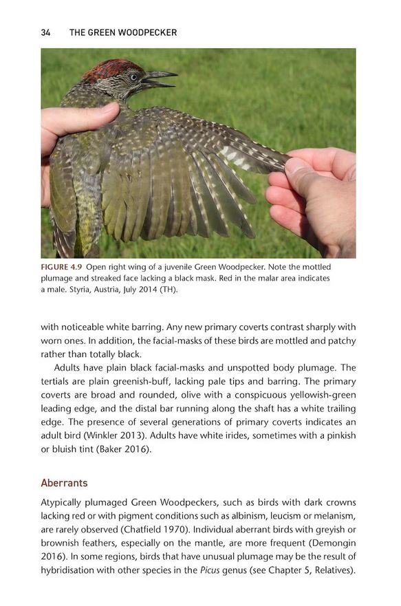 the green woodpecker. the natural & cultural history of picus viridis