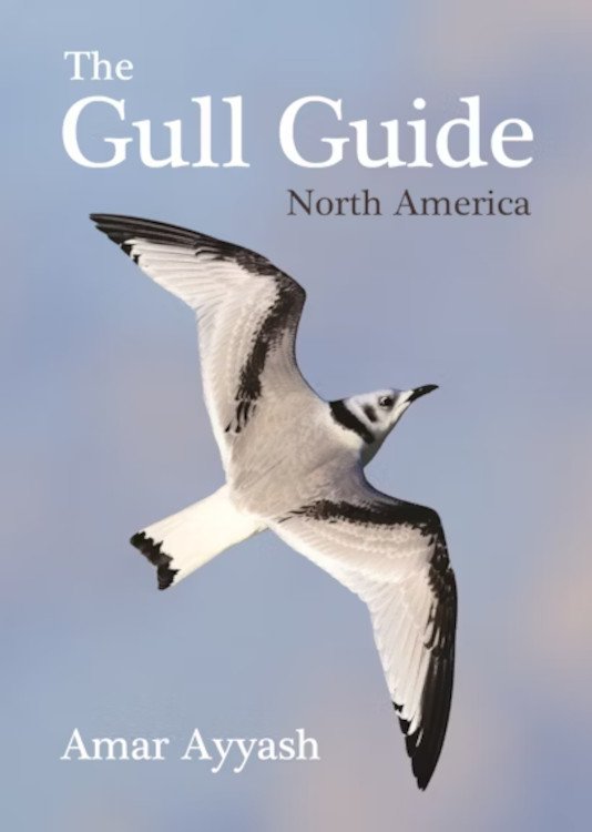 the gull guide north america