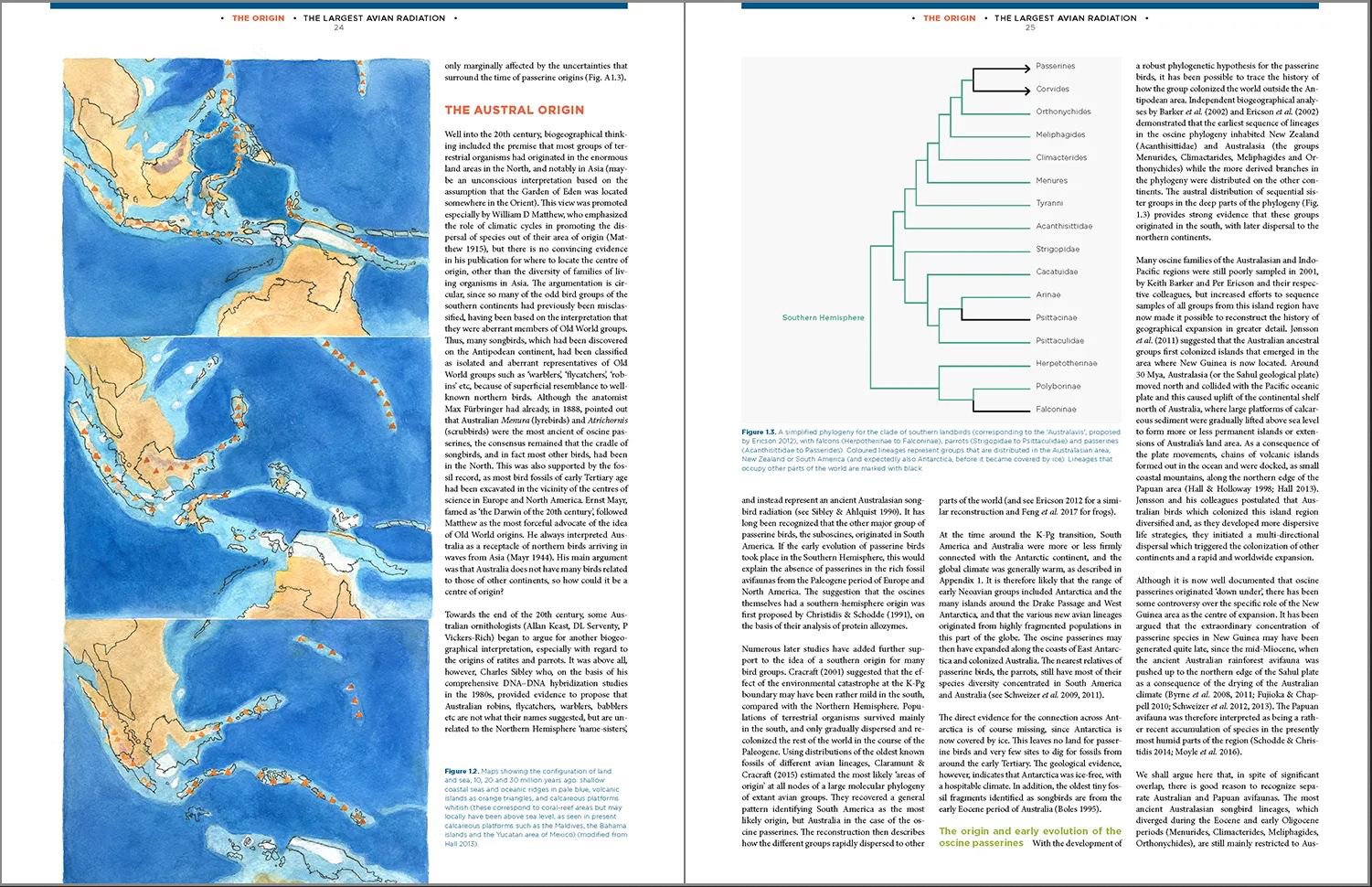 the largest avian radiation. the evolution of perching birds, or the order passeriformes