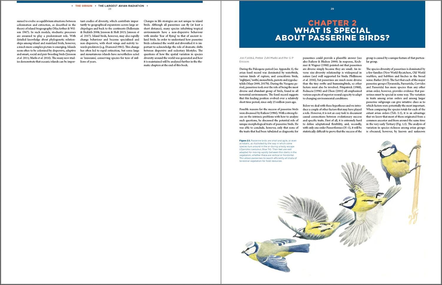 the largest avian radiation. the evolution of perching birds, or the order passeriformes
