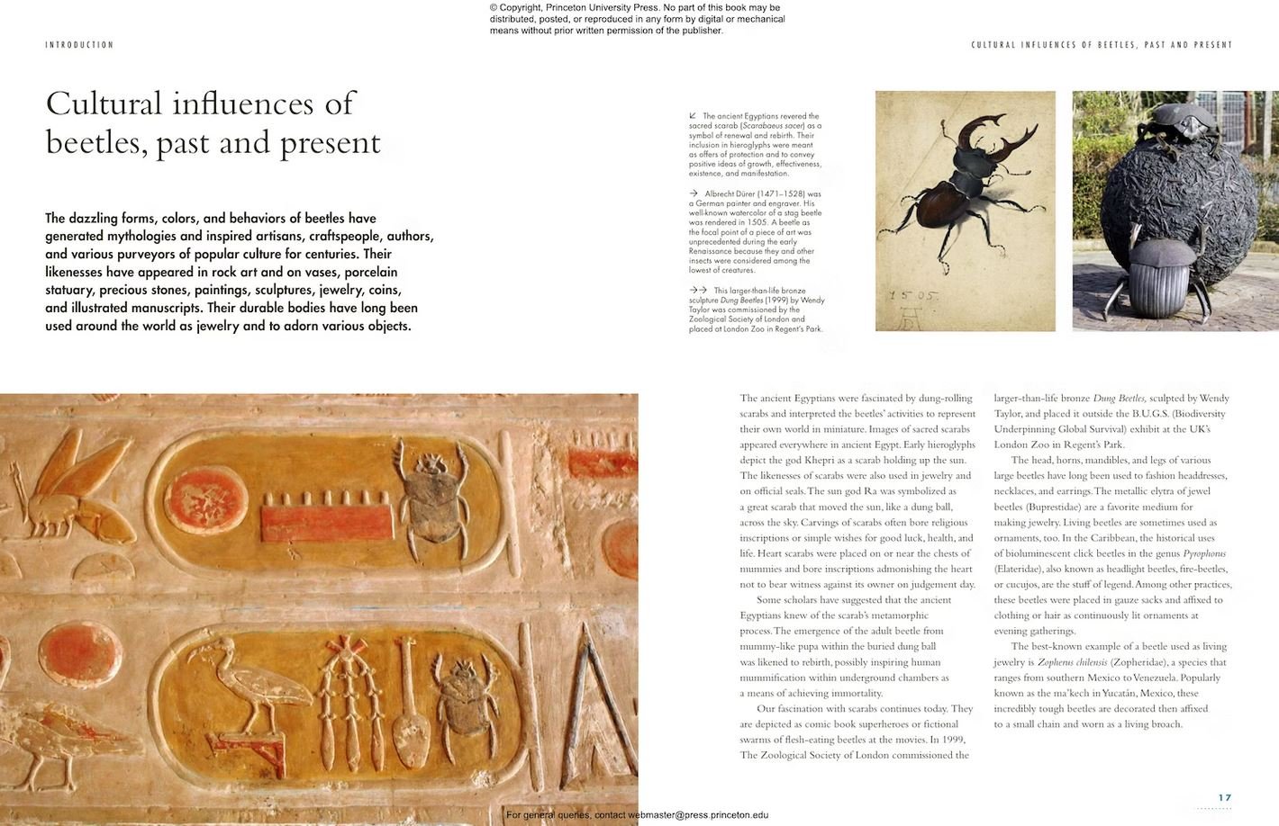 the lives of beetles. a natural history of coleoptera