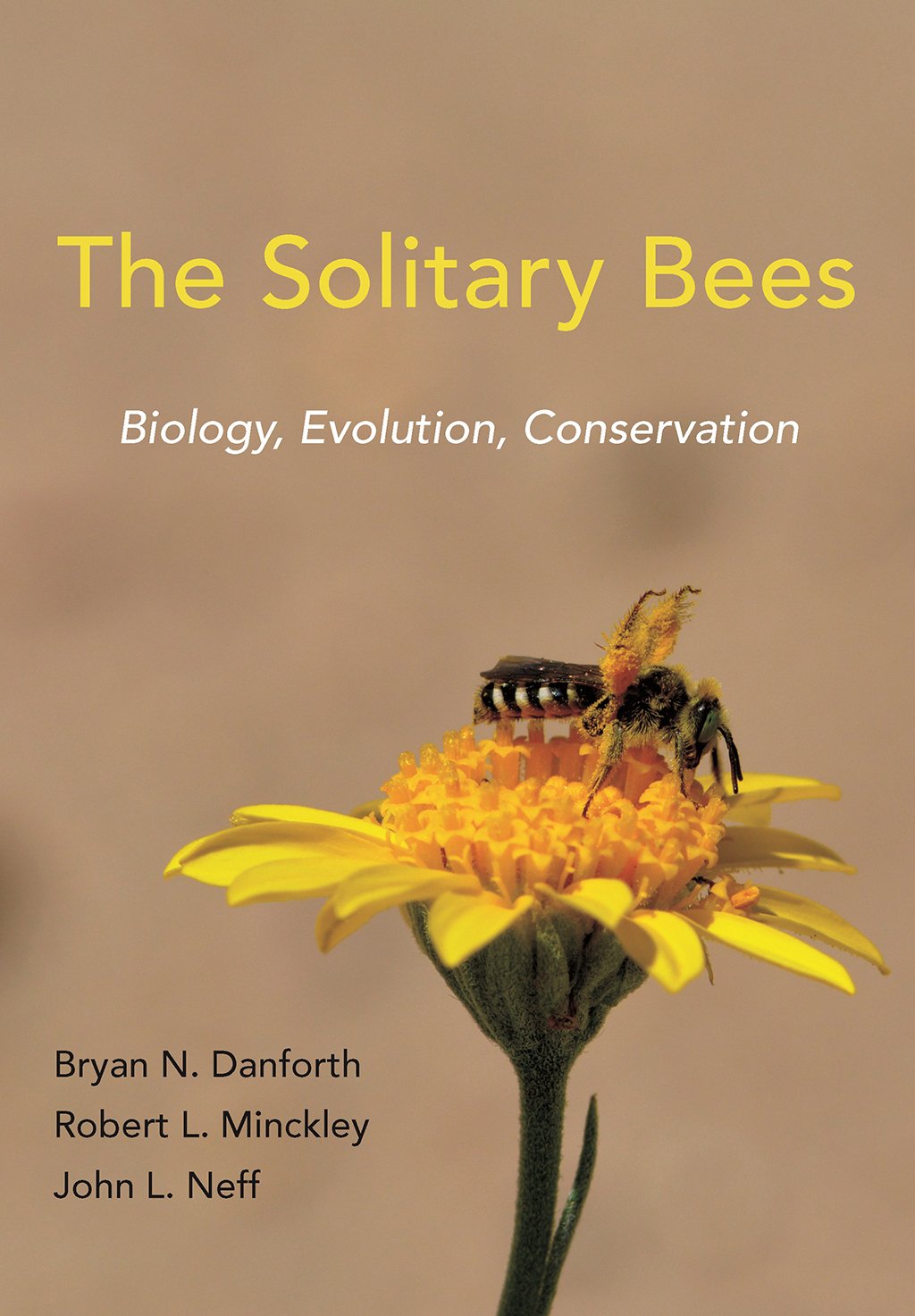the solitary bees