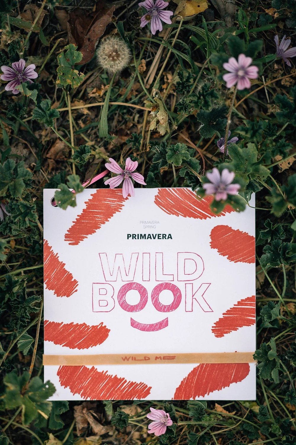 wild book. primavera spring primavera