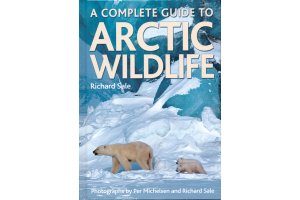 wildlife