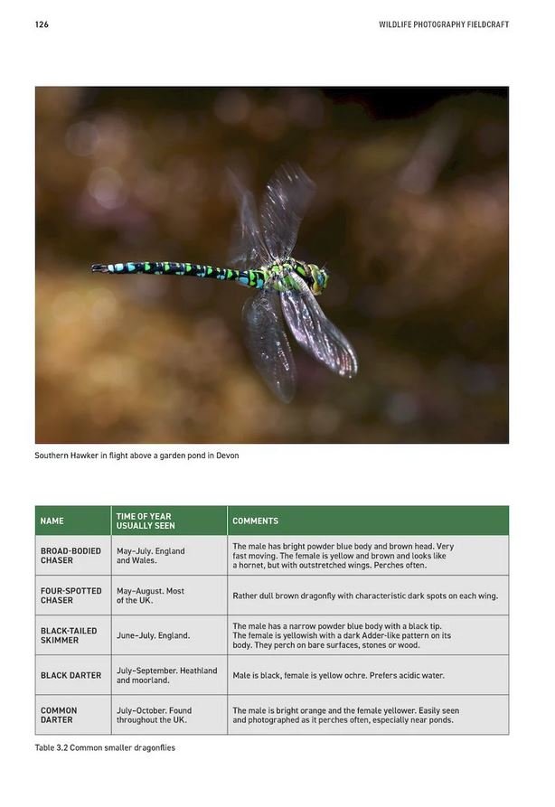 wildlife photography fieldcraft