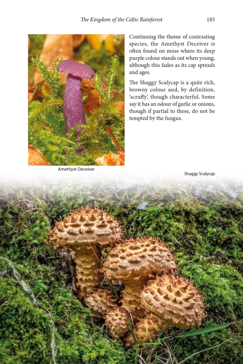 wild mull. a natural history of the island and its people