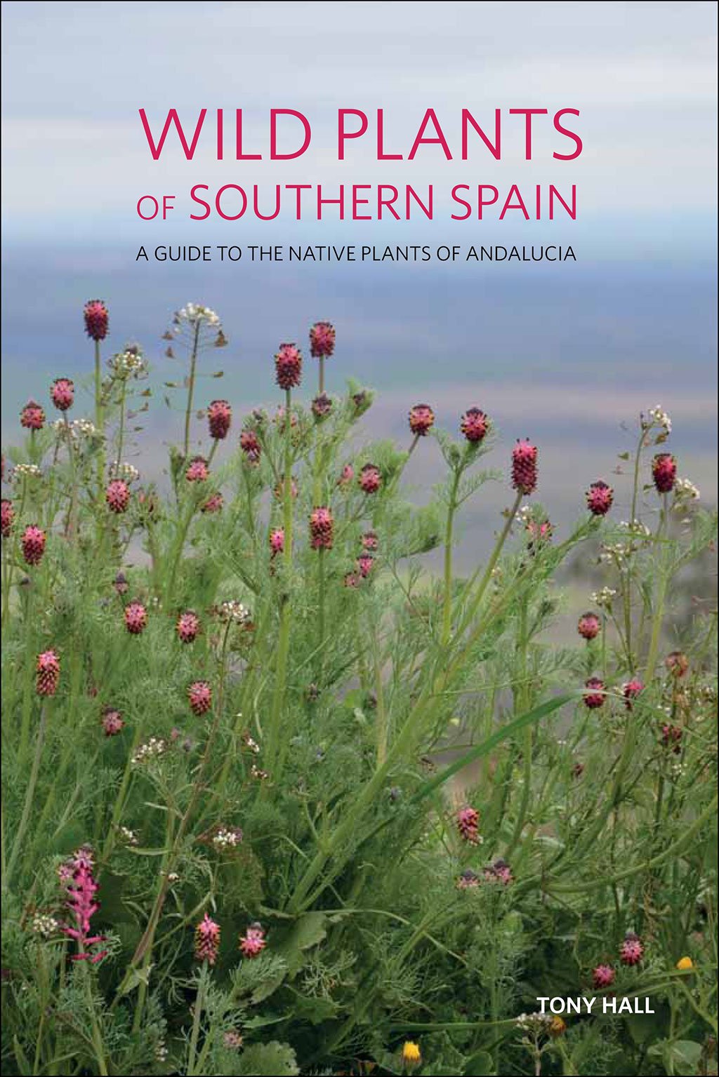 wild plants of southern spain. a guide to the native plants of andalucia