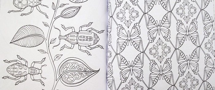 wonderful insects. coloring book